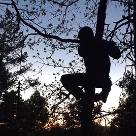 Ky In a Tree.jpg